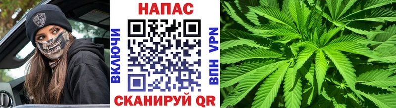 Канабис VHQ  blacksprut как зайти  Гаврилов-Ям 
